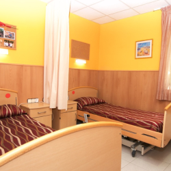 Disseny sense títol (5)