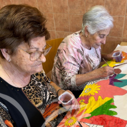 Disseny sense títol (6)