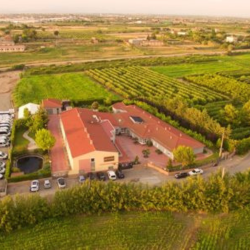 Disseny sense títol (8)